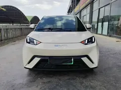 2024 BYD Seagull EV Glory 405km Flying — фото 2