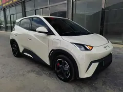 2024 BYD Seagull EV Glory 405km Flying — фото 3