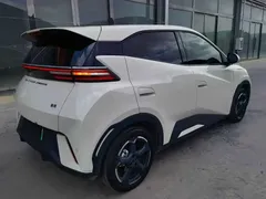 2024 BYD Seagull EV Glory 405km Flying — фото 6