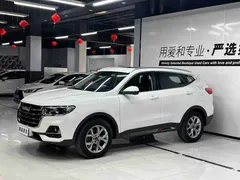 2021 Haval H6 1.5T AT, белый — фото 1