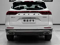 2021 Haval H6 1.5T AT, белый — фото 5