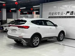 2021 Haval H6 1.5T AT, белый — фото 6