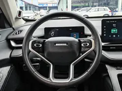 2021 Haval H6 2.0T AT 4WD Supreme, белый — фото 16