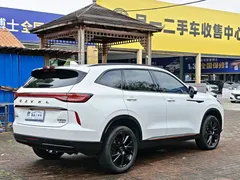 2021 Haval H6 2.0T AT 4WD Supreme, белый — фото 22