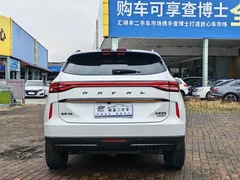 2021 Haval H6 2.0T AT 4WD Supreme, белый — фото 23