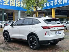 2021 Haval H6 2.0T AT 4WD Supreme, белый — фото 24