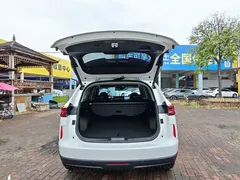 2021 Haval H6 2.0T AT 4WD Supreme, белый — фото 26