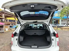 2021 Haval H6 2.0T AT 4WD Supreme, белый — фото 27