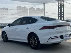2023 BYD Qin PLUS 55KM, белый — фото 6