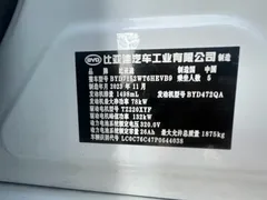 2023 BYD Qin PLUS 55KM, белый — фото 19
