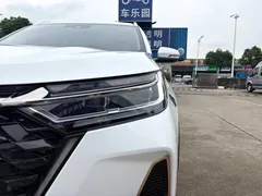 2022 Chery 8 PRO 290T 2WD 5, белый — фото 13