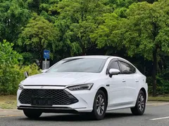 2024 BYD Qin PLUS DM-i 55KM, белый — фото 1