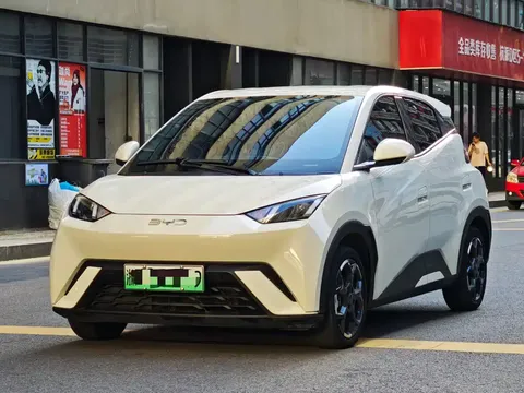 2024 BYD Seagull EV Glory 405km Flying