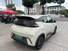 2023 BYD Seagull — фото 4