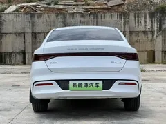 2023 BYD Qin PLUS EV 510km, белый — фото 9