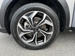 2023 Haval Shenshou 1.5T Zhixiang — фото 28
