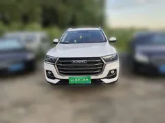 2021 Haval H6 1.5T AT Champion, белый — фото 23