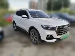 2021 Haval H6 1.5T AT Champion, белый — фото 24