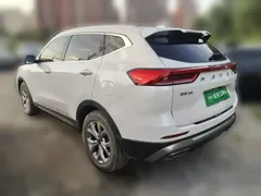 2021 Haval H6 1.5T AT Champion, белый — фото 25