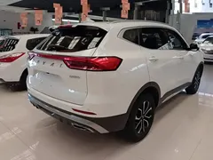 2021 Haval H6 1.5T AT Guochao Urban, белый — фото 7