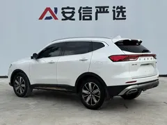 2023 Haval H6 1.5T AT, белый — фото 6