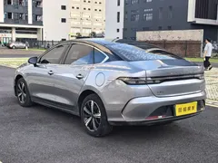 2023 BYD Destroyer 05 DM-i 120KM — фото 27