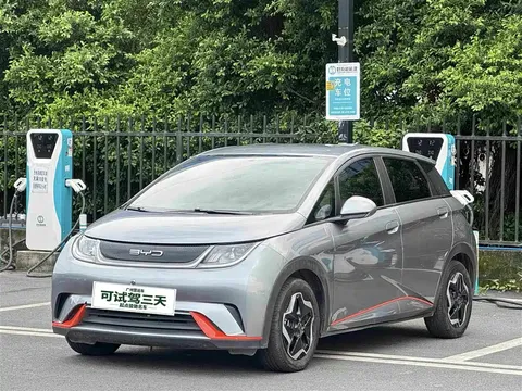 2021 BYD Dolphin EV 405km Freedom