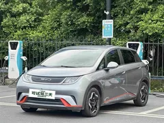 2021 BYD Dolphin EV 405km Freedom — фото 1