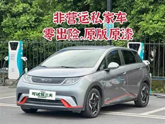 2021 BYD Dolphin EV 405km Freedom — фото 2