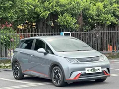 2021 BYD Dolphin EV 405km Freedom — фото 4