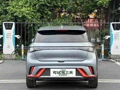 2021 BYD Dolphin EV 405km Freedom — фото 8