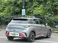 2021 BYD Dolphin EV 405km Freedom — фото 9