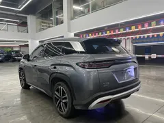 2025 BYD Song L 112km — фото 4