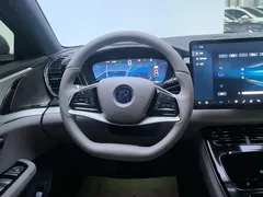 2025 BYD Han DM-i 125KM — фото 15