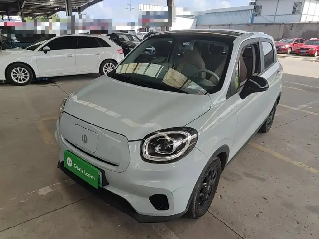 2023 Leapmotor T03 310