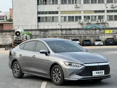 2024 BYD Qin PLUS 55KM — фото 3