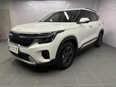 2023 Kia Seltos 1.5L CVT Luxury, белый — фото 1