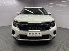 2023 Kia Seltos 1.5L CVT Luxury, белый — фото 2