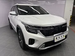 2023 Kia Seltos 1.5L CVT Luxury, белый — фото 3