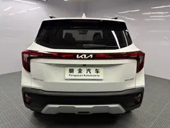 2023 Kia Seltos 1.5L CVT Luxury, белый — фото 19