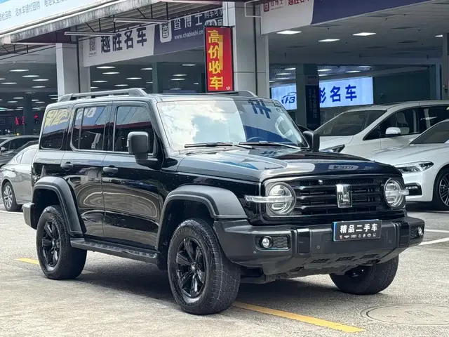 2021 Tank 300 2.0T