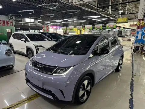2023 BYD Dolphin 420km Fashion