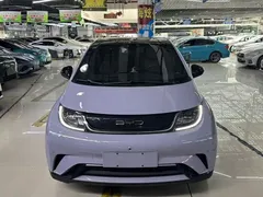 2023 BYD Dolphin 420km Fashion — фото 2