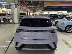 2023 BYD Dolphin 420km Fashion — фото 10