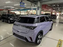 2023 BYD Dolphin 420km Fashion — фото 11