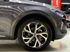 2025 BYD Tang 115KM — фото 27