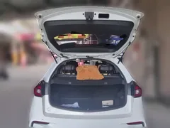 2020 Geely Vision X3 1.5L CVT Premium, белый — фото 10