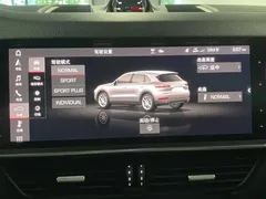 2019 Porsche Cayenne 3.0T, чёрный — фото 22