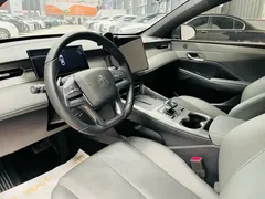 2025 BYD Qin PLUS EV 510km — фото 17