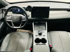2025 BYD Qin PLUS EV 510km — фото 26